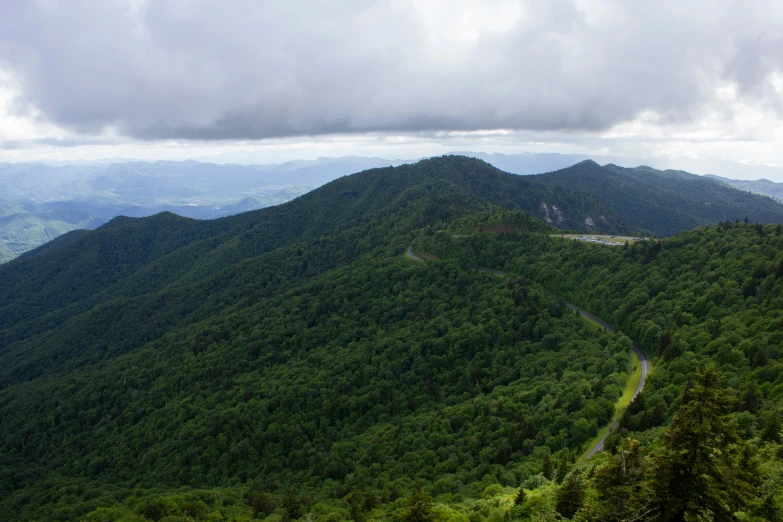 an image of the side of a mountain covered in trees