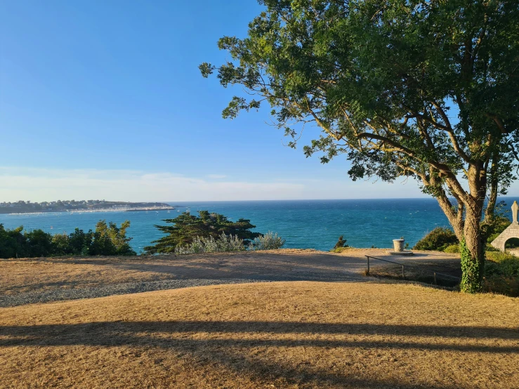 a bench sitting in the shade of a tree in front of the ocean