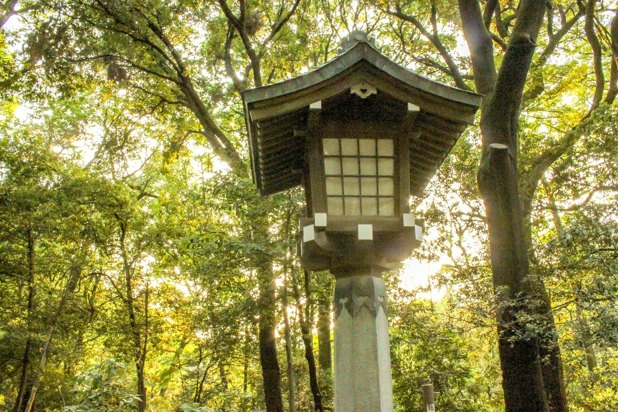 an oriental style pagoda in the middle of a forest