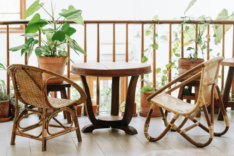 two chairs, a table and some potted plants