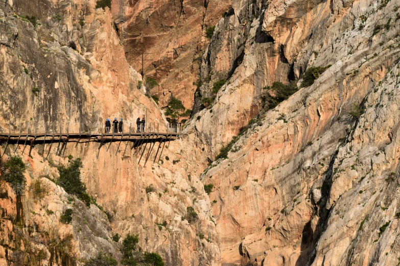 a group of people walking across a wooden bridge