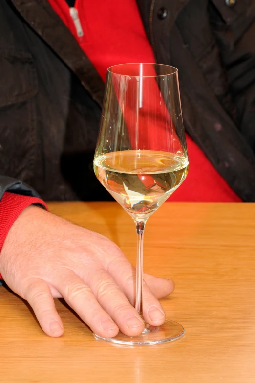 a person holding a glass of wine on a table