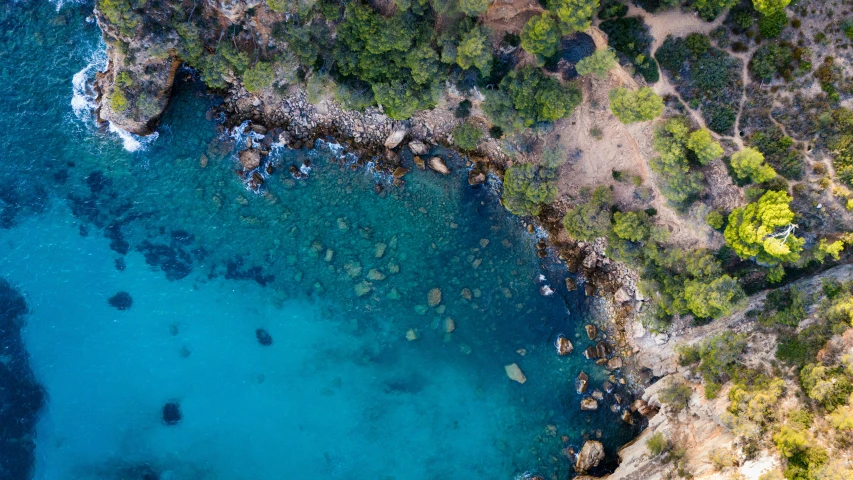 a lake next to trees and rocks near water