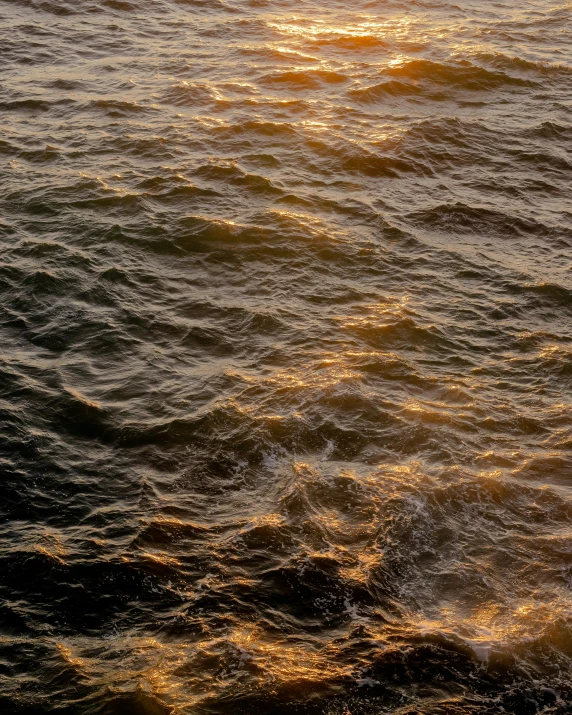 a po of the water from a boat