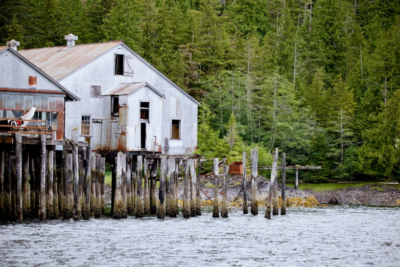 a rustic building stands in the middle of the water