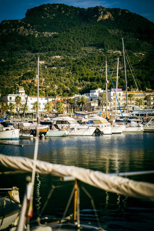 sailboats docked in a marina near the hills