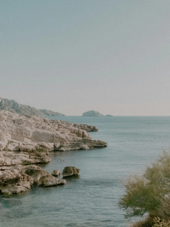 a rock shore has plants and mountains around it