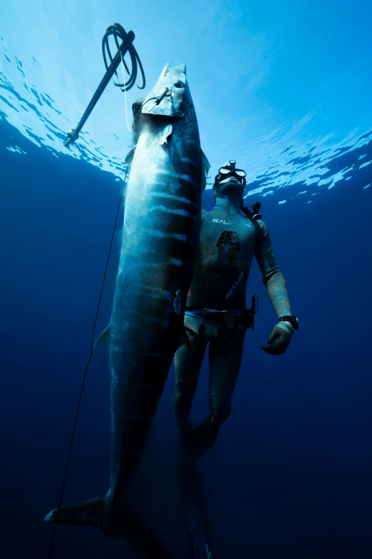 a scuba diver with a huge shark in a blue ocean