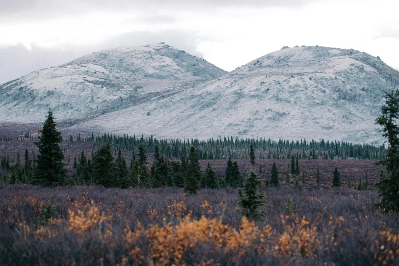 the mountains are covered in snow and some trees