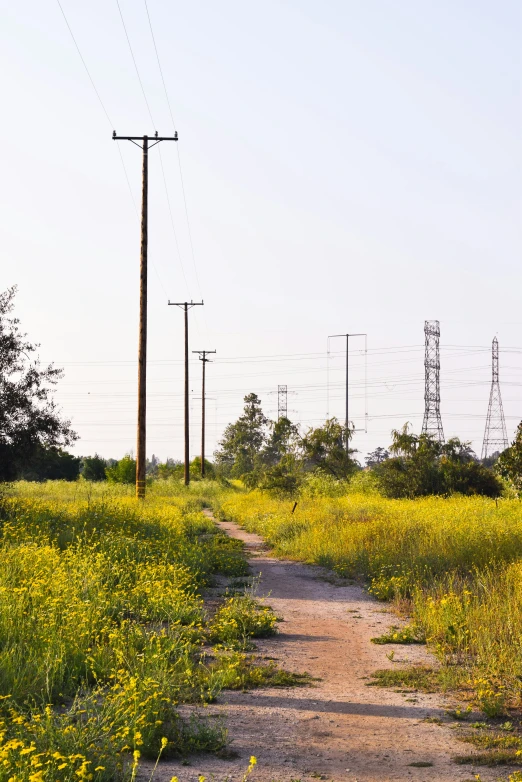 a road that has some wires on it