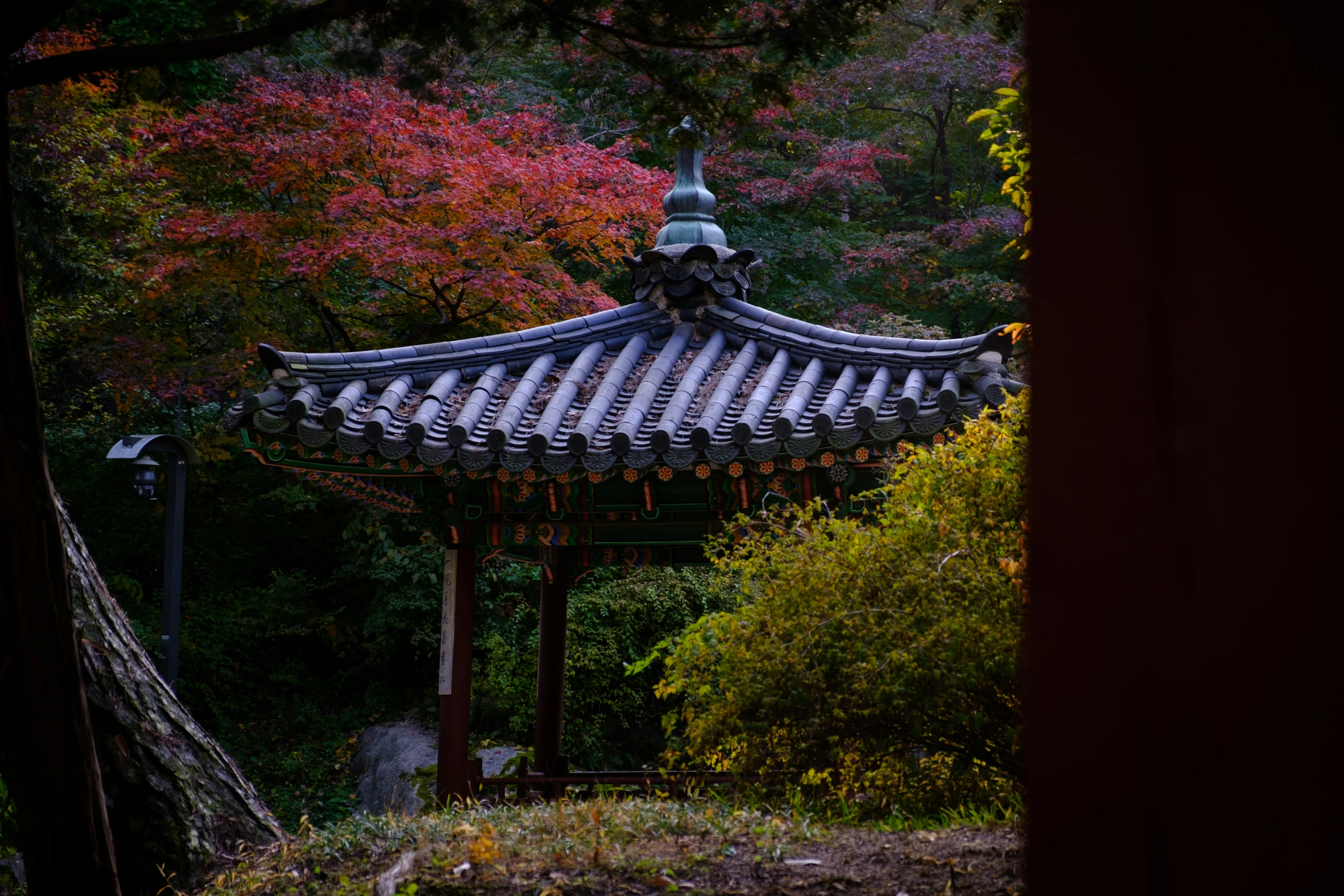 a po of a chinese building in the woods