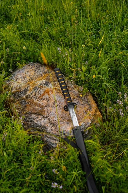 a sci - pod sitting on top of a rock in some grass