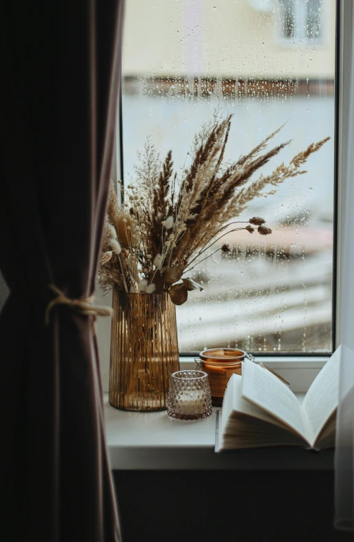 a glass of water, a book, and an orange drink on a window sill