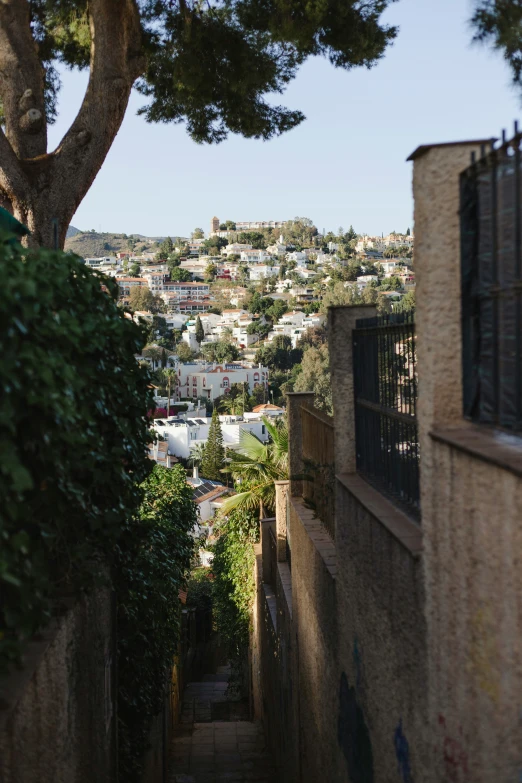 the walkway is very narrow and full of greenery