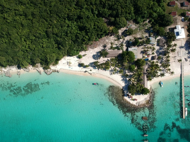 an aerial view of some water and trees