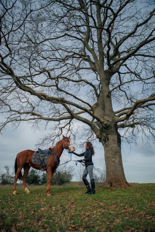 the woman is standing near a large tree with her horse