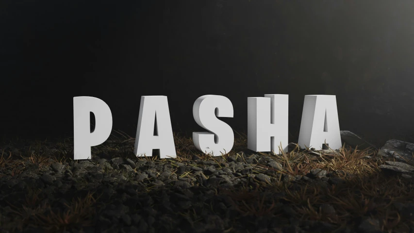 an illuminated sign with the word pasha spelled in wood