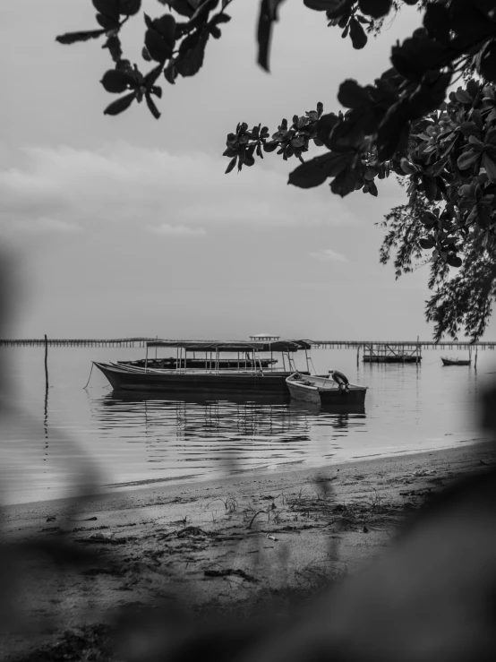 a boat in the ocean near some trees