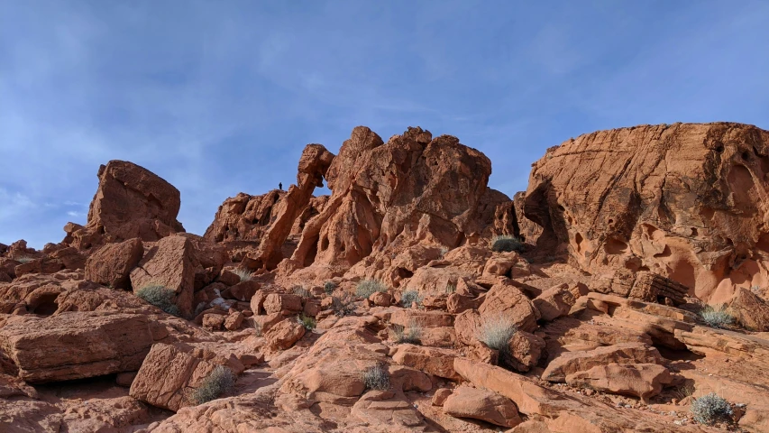 some strange rocks, dirt and plants growing out of them