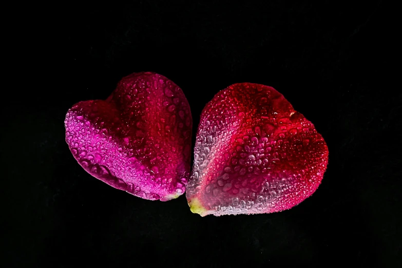 two hearts shaped flowers sit together in the water