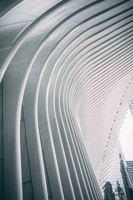 a large white roof with many white lines on it