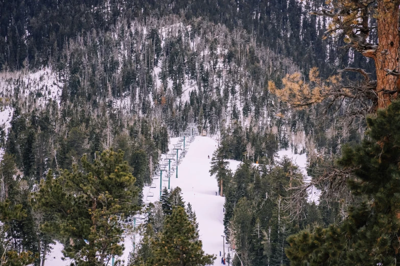 a snowy mountain top with trees and a chairlift