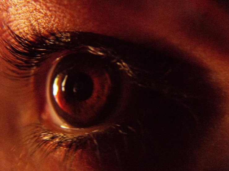 close up po of woman's eyes with the iris showing