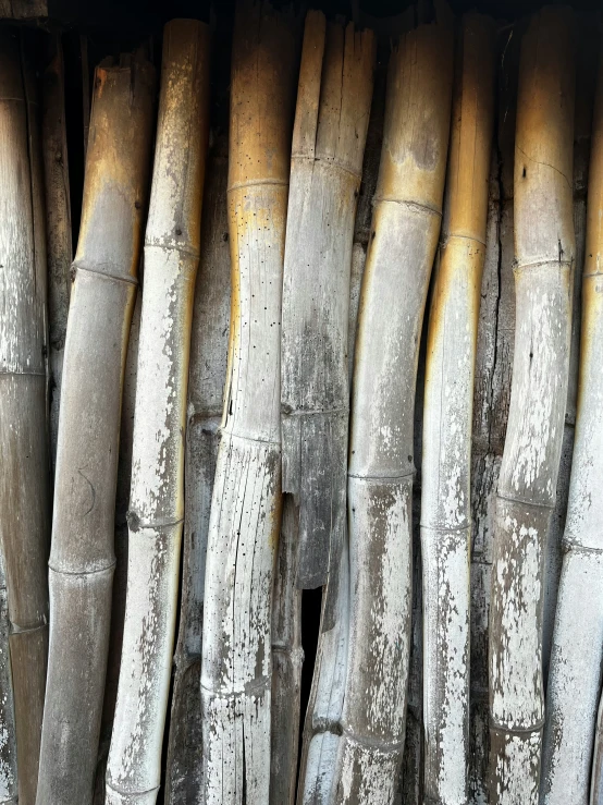 this is a bamboo column at the edge of a wooden platform