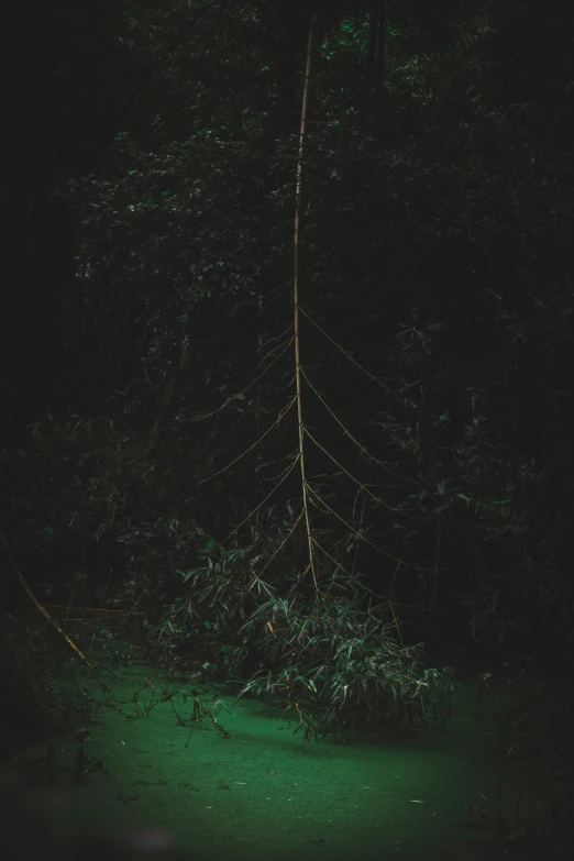 a stop sign is leaning on a thin pole