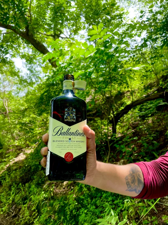 a person holding up a bottle of beer in the woods