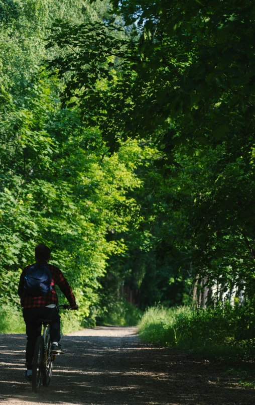 a cyclist riding a trail in the middle of green trees