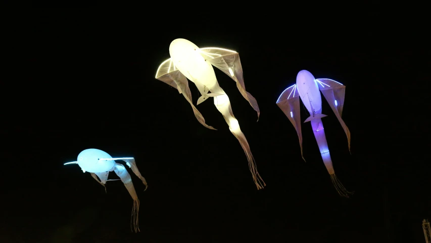 several kites fly in the dark on a dark night