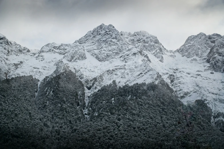 a mountain covered in snow with lots of trees