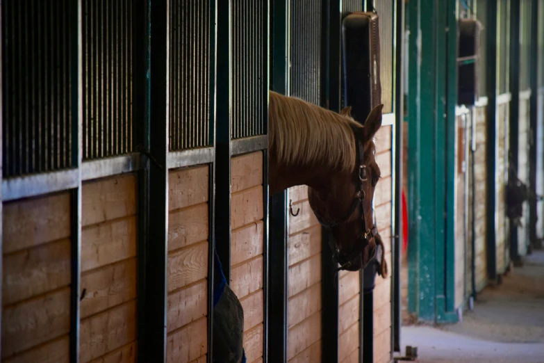 a horse in a stable standing next to the fence