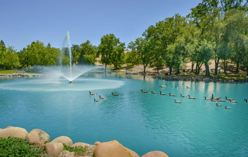 a fountain that has birds flying around it