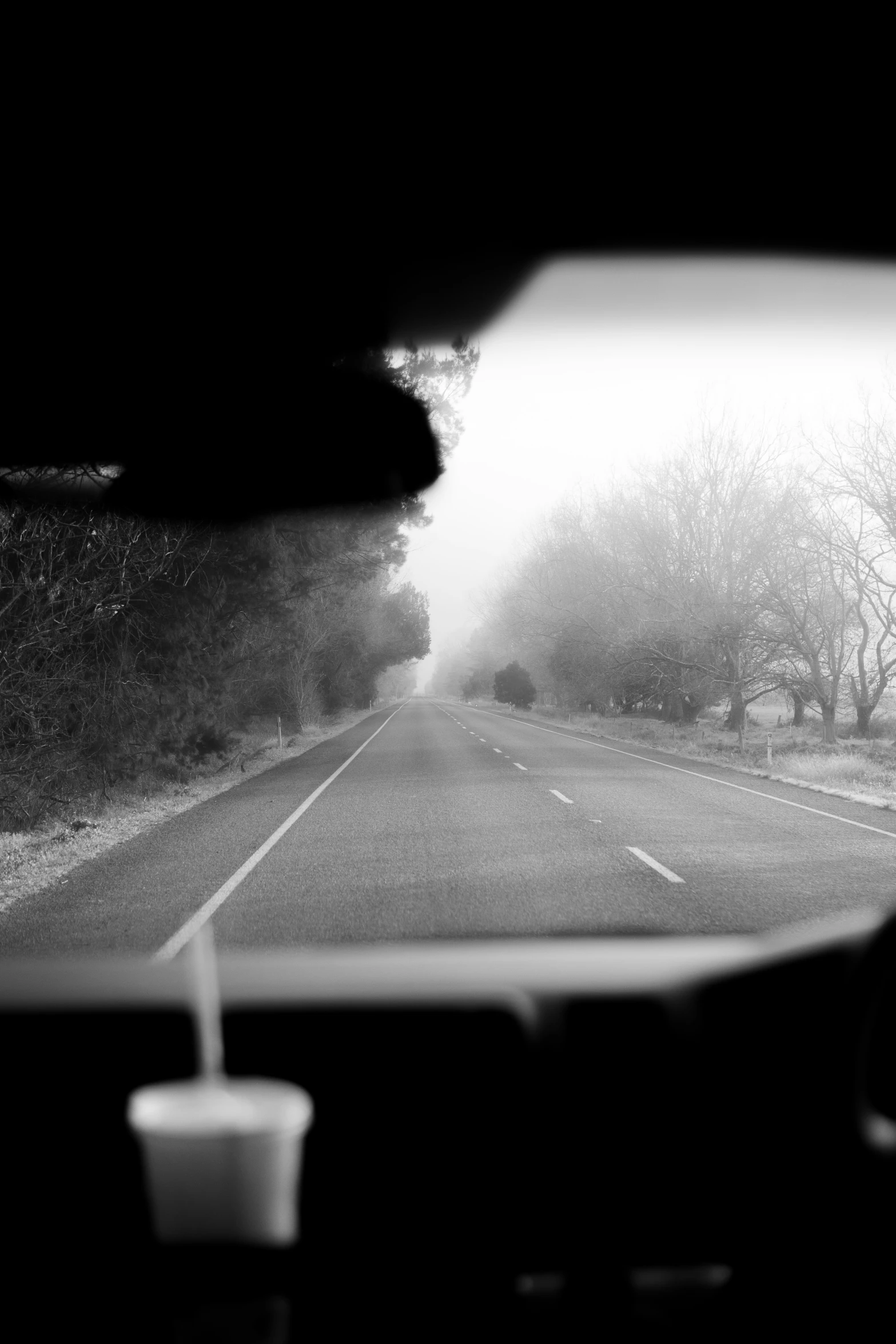 view from the back seat of a car traveling down a road