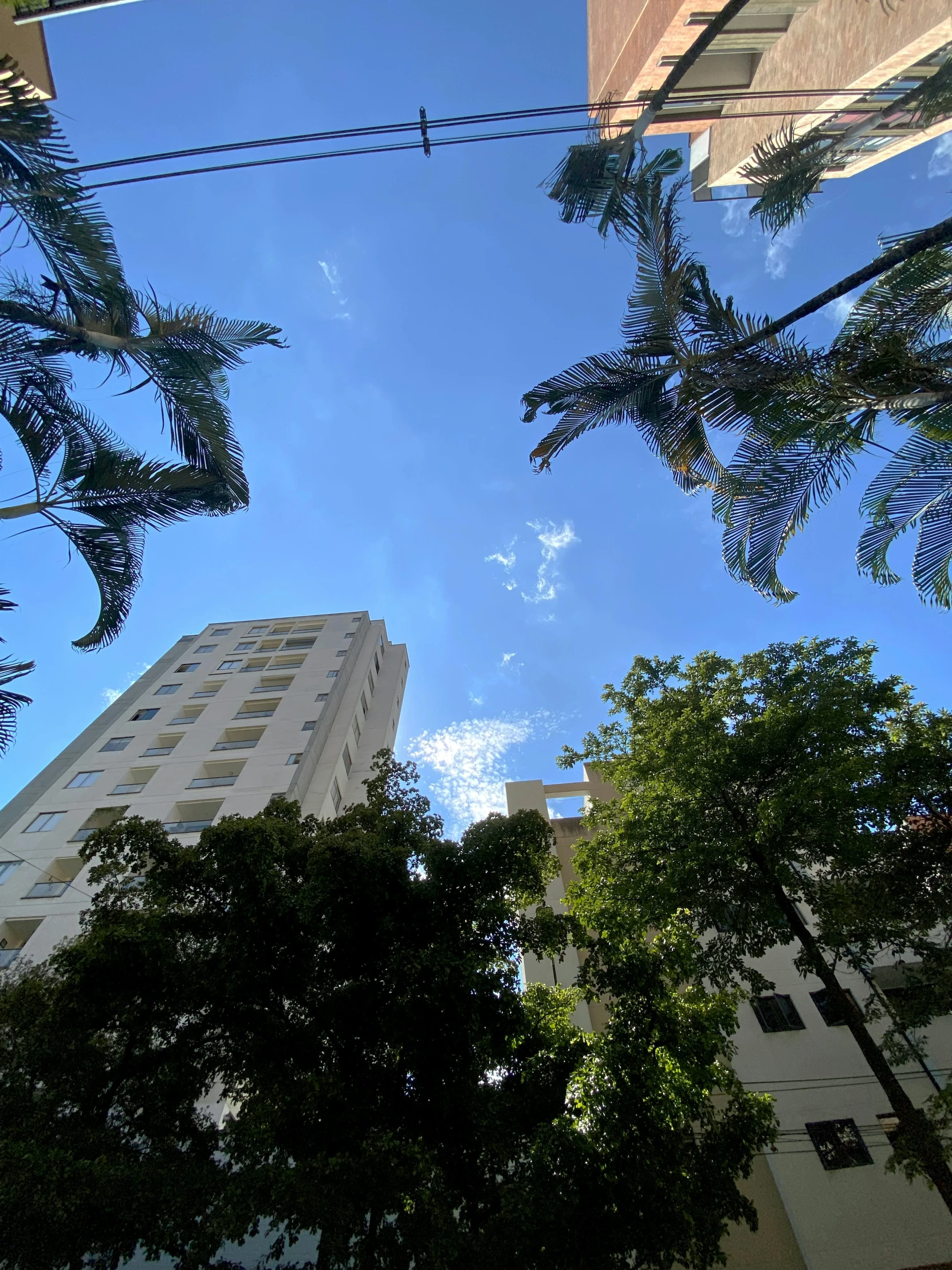 there is trees and buildings near by in the daytime