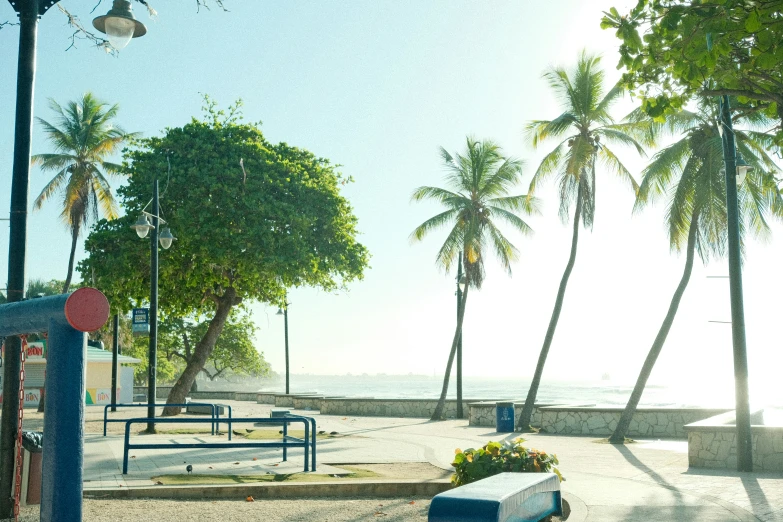 benches and a garbage can are by the beach