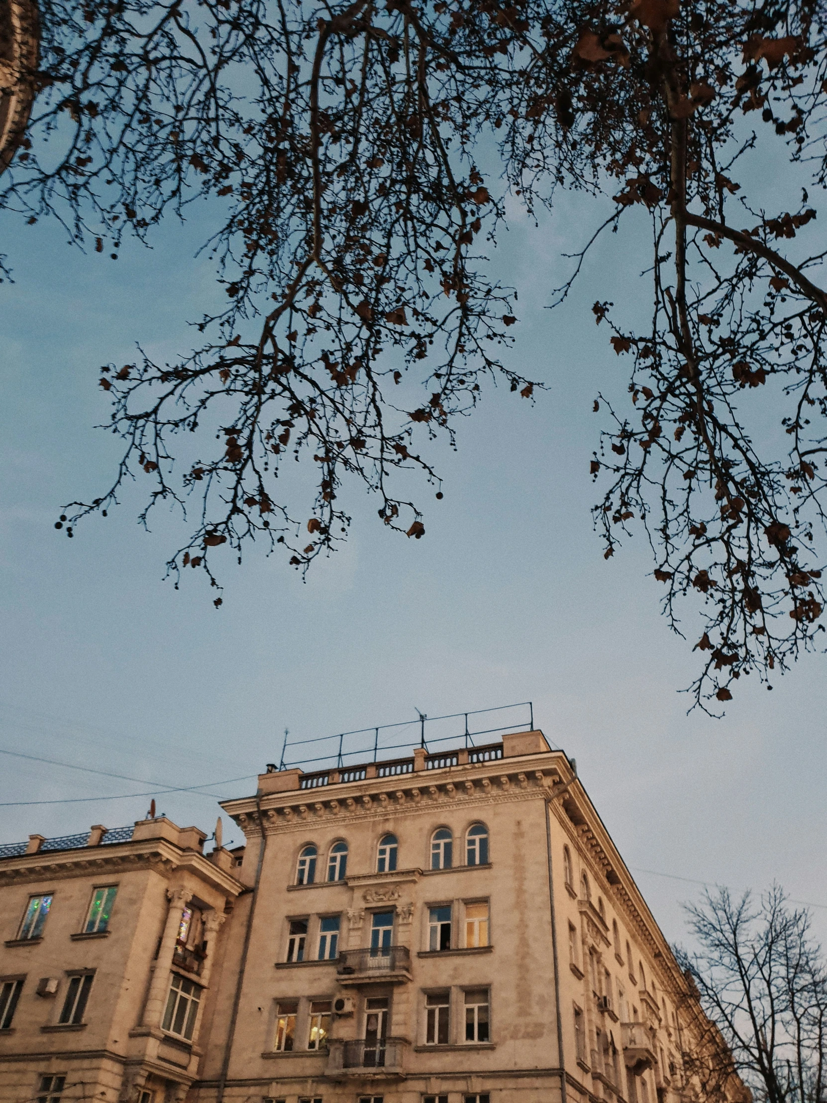 a building with many windows next to trees