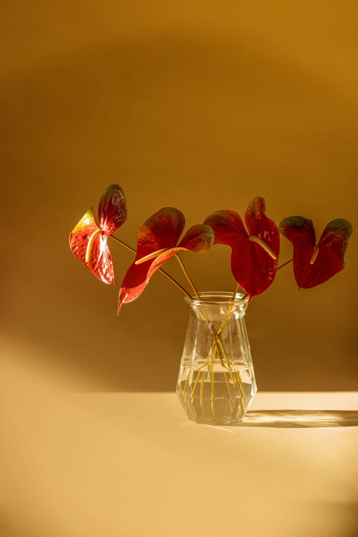 a vase full of water with some flowers in it