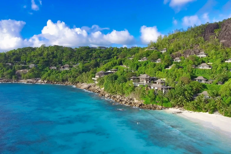 a view of an island with trees and a beach