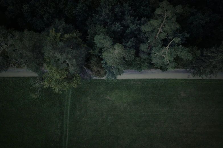 a road next to the grass in a park