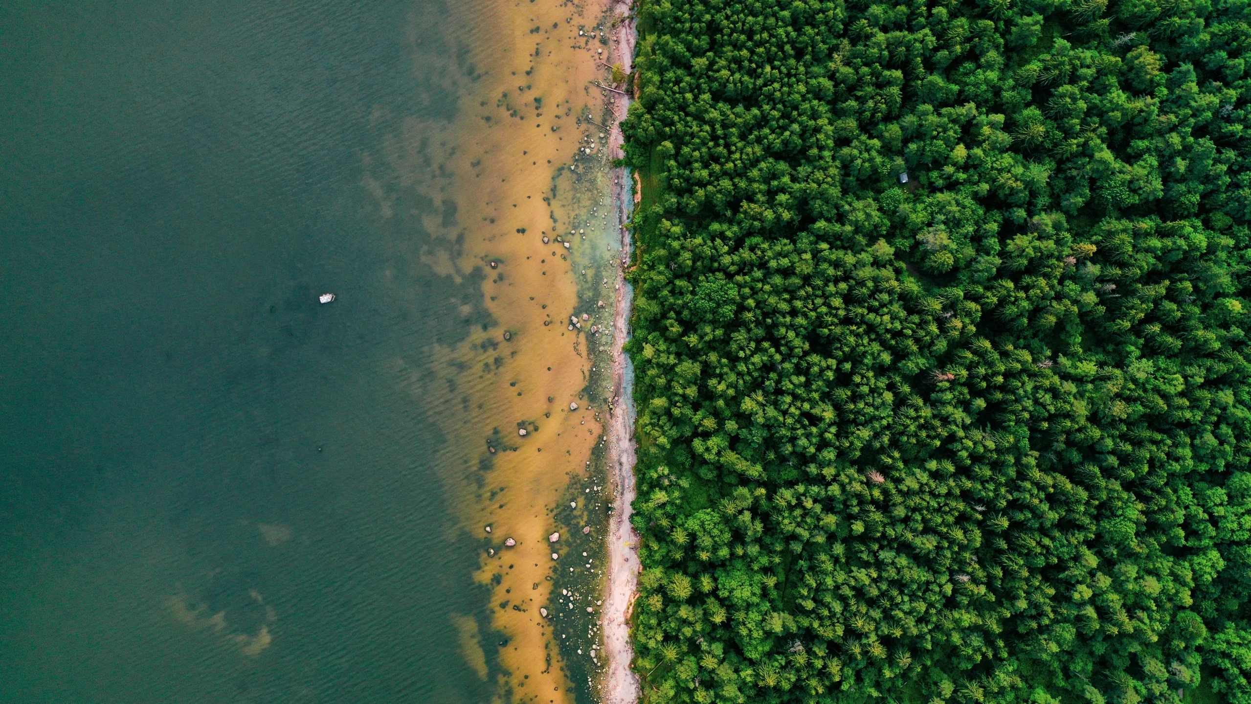 an aerial view of the sea, beach and forest from a bird's - eye view