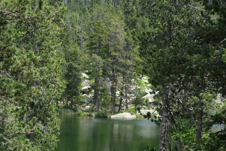 an image of a lake surrounded by trees