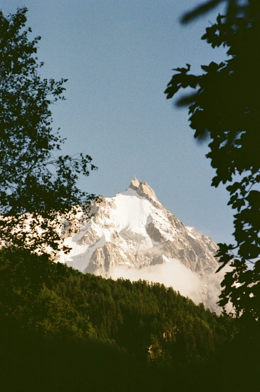 a mountain covered in snow with trees in foreground