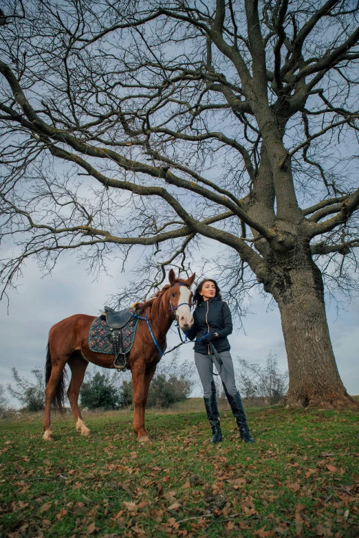 a person standing with a horse under a tree