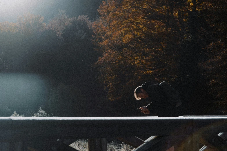 a person on a bridge in the forest