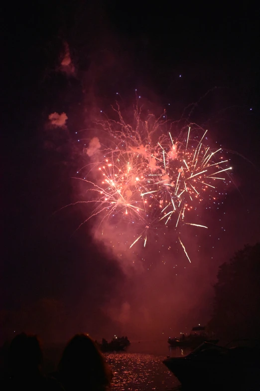 a large fireworks is going up in the night sky