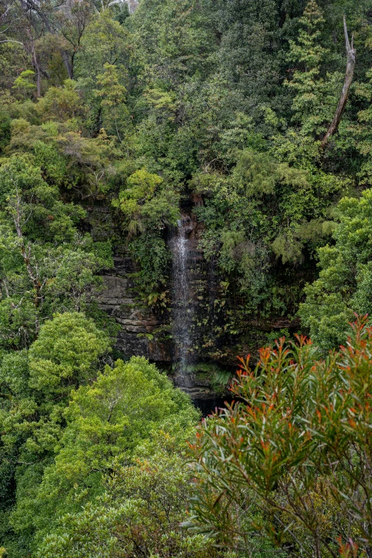 a water fall that is in the middle of some trees