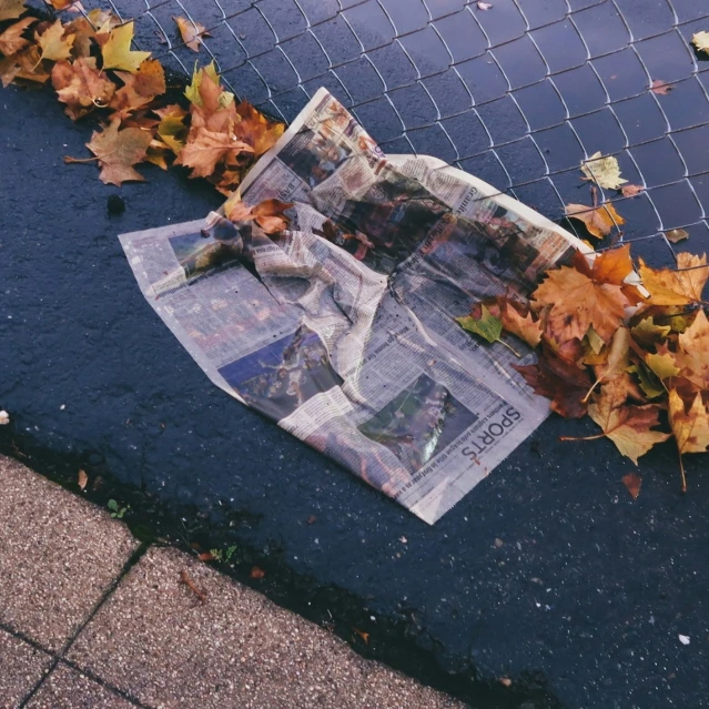 newspaper and autumn leaves on a city street